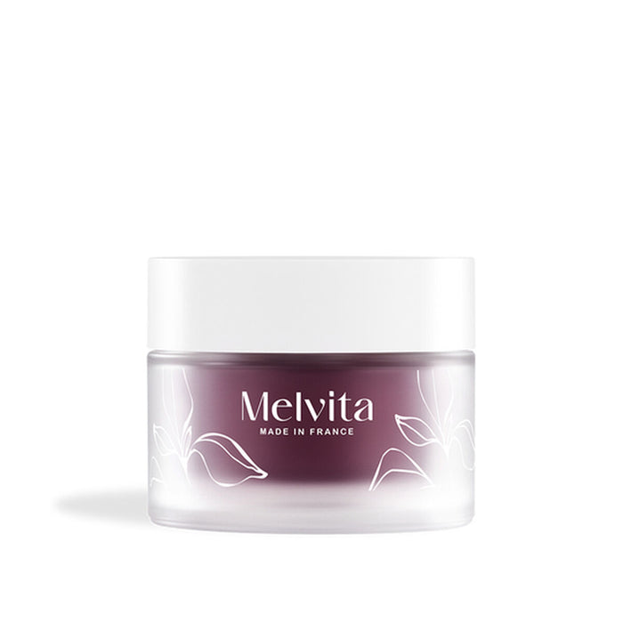 Moisturising Night Balm Melvita ARGÁN BIO 50 ml