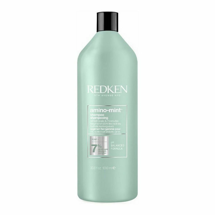 Shampoo Redken Amino Mint 1 L