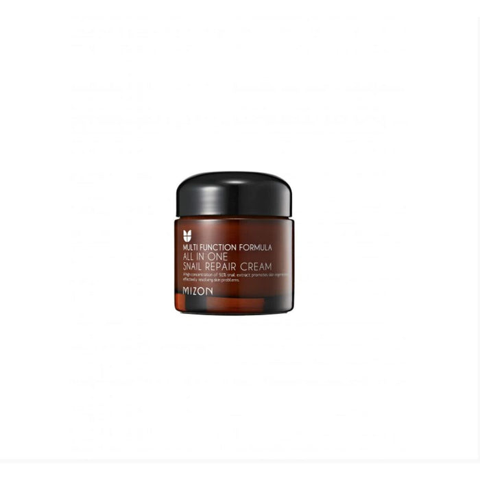 Crème réparatrice Mizon All In One Hydratant 75 ml